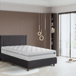 Memory 50 plus 3'lü set