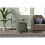 Çok Amaçlı Kestane Metal C Sehpa Puf Seti Yeşil