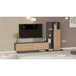 Blaze Tv Ünitesi BE1-SA - Görsel 3