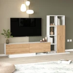 Blaze Tv Ünitesi BE1-SW - Görsel 2