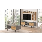 Mels Tv Ünitesi Seti MS5-GA