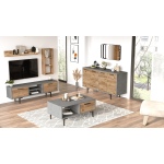 Mels Tv Ünitesi Seti MS6-GA