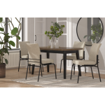 Aras Masa Sahra Sandalye Yemek Masası Takımı - 80x140 cm