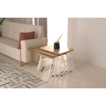 Zigana Çok Amaçlı Beyaz Metal Ayak 3'lü Zigon Sehpa Naturel