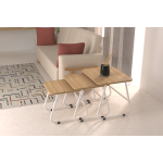 Zigana Çok Amaçlı Beyaz Metal Ayak 3'lü Zigon Sehpa Naturel - Görsel 2