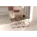 Zigana Çok Amaçlı Vizon Metal Ayak 3'lü Zigon Sehpa Kestane - Görsel 2