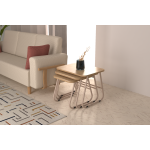 Zigana Çok Amaçlı Vizon Metal Ayak 3'lü Zigon Sehpa Naturel