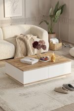 Future Orta Sehpa 2 Kapaklı Çam-Beyaz FR14-AW