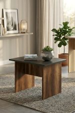 Vario B Ofis Sehpası Barok-Antrasit VO2-BA